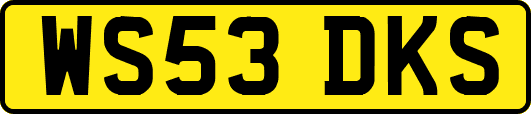 WS53DKS