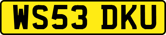 WS53DKU