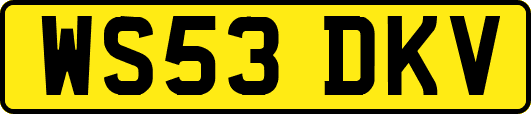 WS53DKV