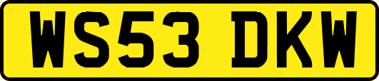 WS53DKW