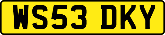 WS53DKY