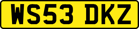 WS53DKZ