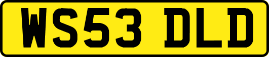 WS53DLD