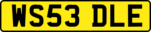 WS53DLE