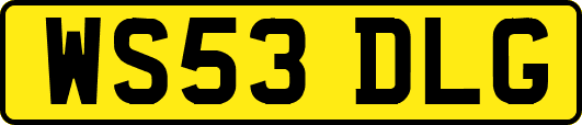 WS53DLG