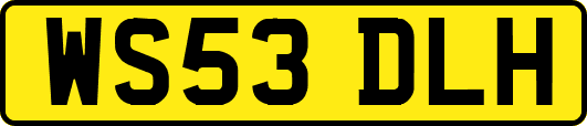WS53DLH