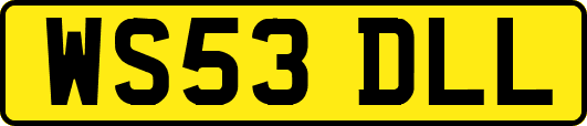 WS53DLL