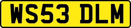 WS53DLM