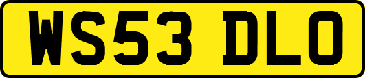 WS53DLO
