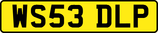 WS53DLP