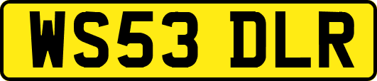 WS53DLR
