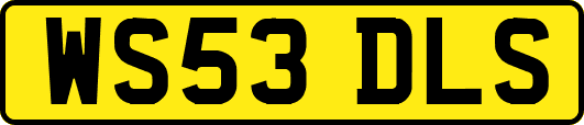 WS53DLS