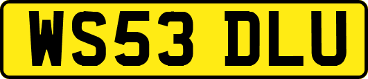 WS53DLU