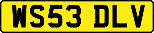 WS53DLV