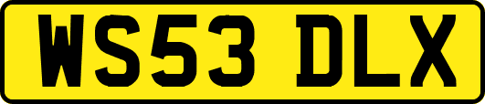WS53DLX