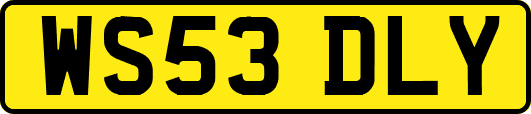 WS53DLY
