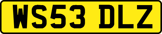 WS53DLZ