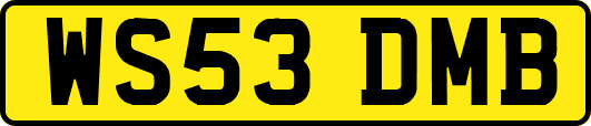 WS53DMB