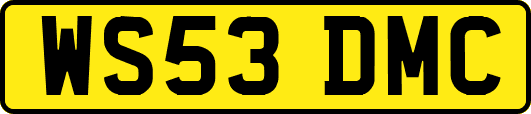 WS53DMC