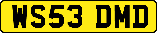 WS53DMD