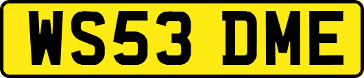 WS53DME