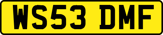 WS53DMF