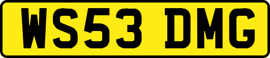 WS53DMG