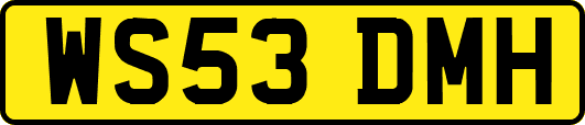 WS53DMH