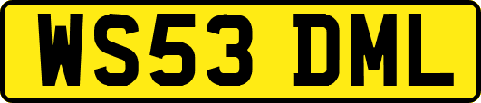 WS53DML