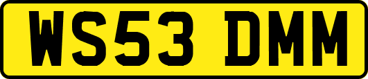 WS53DMM