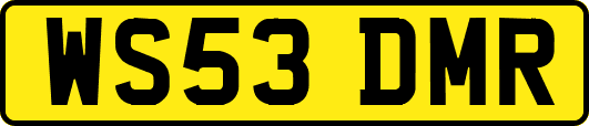 WS53DMR