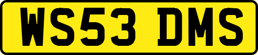 WS53DMS