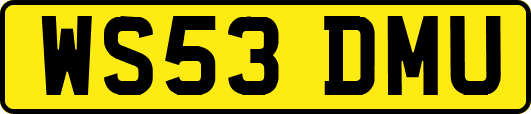 WS53DMU