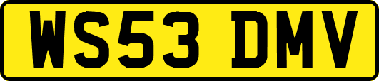 WS53DMV