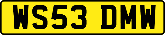 WS53DMW