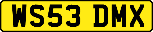 WS53DMX