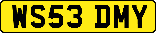 WS53DMY
