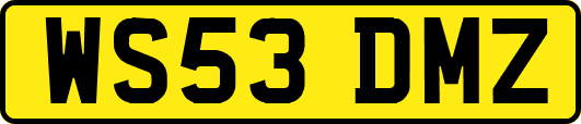 WS53DMZ