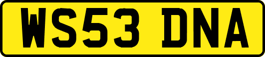 WS53DNA