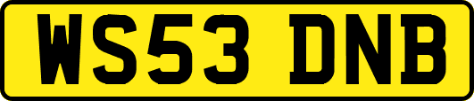 WS53DNB