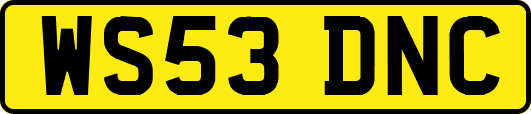 WS53DNC