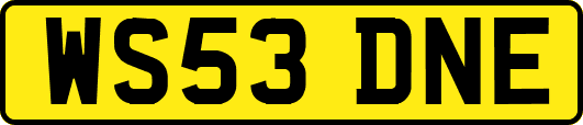 WS53DNE