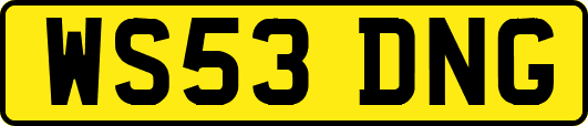 WS53DNG