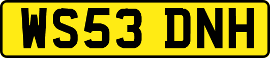 WS53DNH