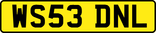 WS53DNL
