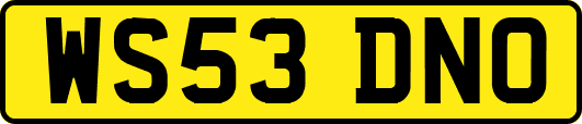 WS53DNO