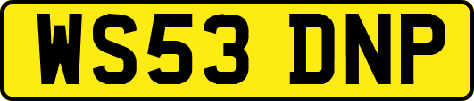 WS53DNP