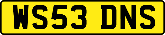 WS53DNS