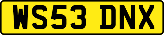 WS53DNX