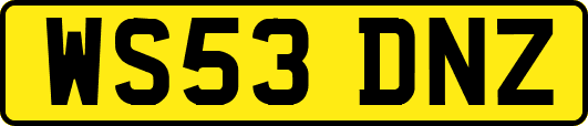 WS53DNZ